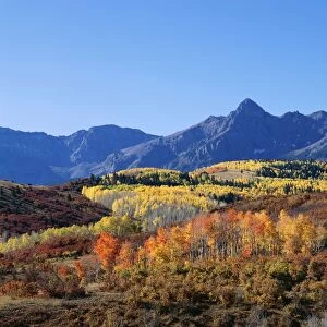 USA Autumn colours in the Rocky Mountains, Colorado