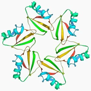Chymotrypsin inhibitor 2 molecule F006 / 9578