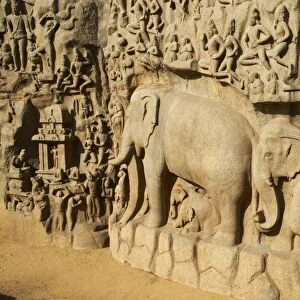 Arjunas Penance granite carvings, Mamallapuram (Mahabalipuram), UNESCO World Heritage Site, Tamil Nadu, India, Asia