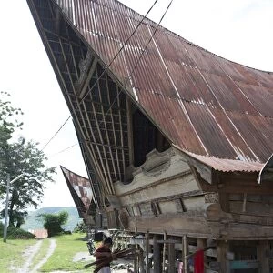 Batak woman carrying skeins of yarn to the looms under her traditional Batak house, Buhit, Samosir Island, Lake Toba, Sumatra, Indonesia, Southeast Asia, Asia