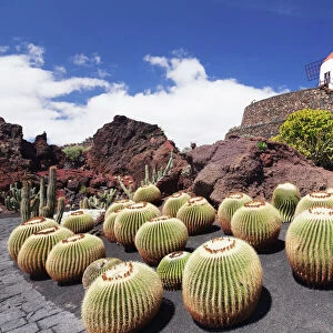 Cactus garden Jardin de Cactus by Cesar Manrique, wind mill, UNESCO Biosphere Reserve