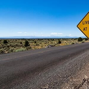 Empty road in central Oregons High Desert with Livestock at Large sign and the Three
