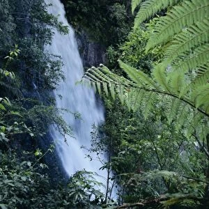Waiere Falls near Te Wairoa