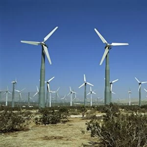 Wind farm near Palm Springs, California, United States of America, North America