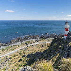 Cape Palliser lighthouse, Cape Palliser, Wellington region, North Island, New Zealand