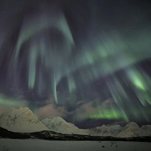 The Northern Lights illuminates the snowy landscape in Svensby Lyngen Alps Tromsa¸ Lapland Norway Europe
