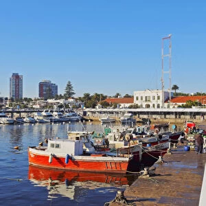 Uruguay, Maldonado Department, Punta del Este, View of the harbour
