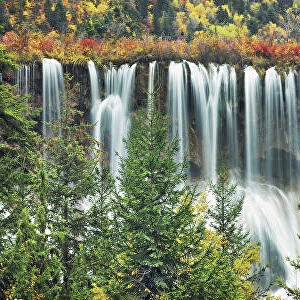 Waterfall Nuorilang and forest in autumn - China, Sichuan, Jiuzhaigou