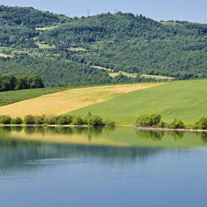 Lake of Bilancino, Mugello, Firenze Province, Tuscany, Italy