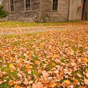 Maine, Old wooden barn with wagon wheels in fall in rural New England