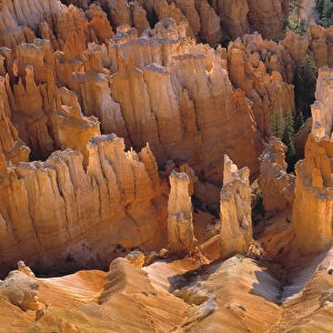USA, Utah, Bryce Canyon NP. An overhead view of hoodoos, in Bryce Canyon National Park