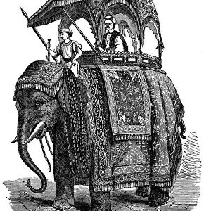 ELEPHANT & HOWDAH, 1851. Embroidered housings and trappings of the elephant and howdah exhibited by Queen Victoria of Great Britain at the Crystal Palace Exhibition of 1851. Line engraving, 19th century