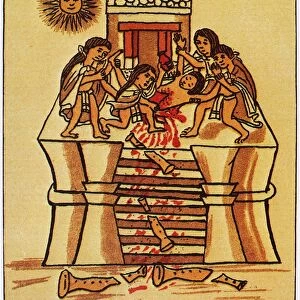 MEXICO: AZTEC SACRIFICE. Priests cutting out the heart of a youth to sacrifice to the sun. Aztec codex, 16th century