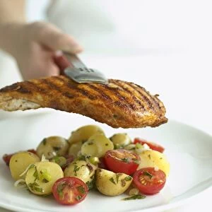 Adding griddled chicken to plate of potato and cherry tomato salad