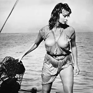 Movie star Sophia Loren