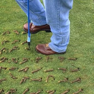 Person lifting out cores of grass and soil (hollow tining), close-up