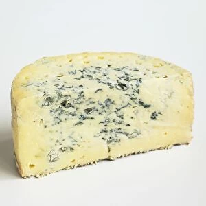 Sliced drum of Belgian Bio Bleu cows milk blue cheese