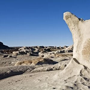 Bizarrely rocks at National Park Parque Provincial Ischigualasto, Central Andes, Argentina, South America