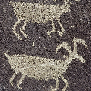 Close-up of Indian Petroglyphs, Ginko Petrified Forest State Park, Vantage, Washington State, USA