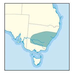 Digital illustration of wine growing region in New South Wales