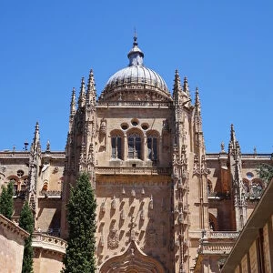 Side entrance of the New Cathedral of Salamanca, Spain