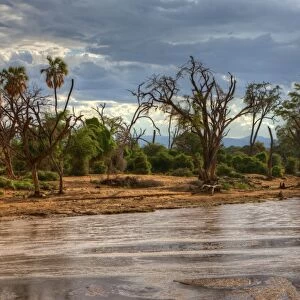 Ewaso Ng iro River in Samburu National Reserve, Kenya, East Africa, Africa, PublicGround