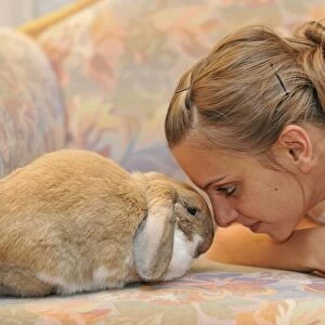 Girl cuddling with a European Dwarf Rabbit (Oryctolagus cuniculus), animal love