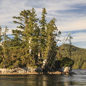Island on river, Turret Rock, Nakwakto Rapids holding world record for fastest current of any navigable waterway, Northern British Columbia, Canada