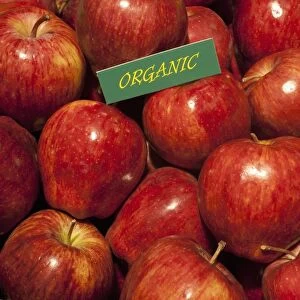 Organic produce, Red Delicious apples