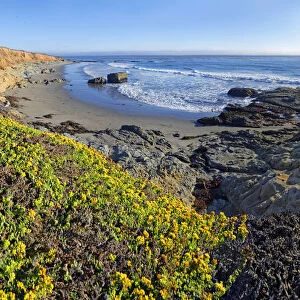Pacific beach overgrown with mosses and lichen near Cambria, California, United States