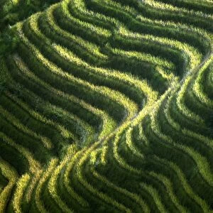 China-Minorities-Rice-Terraces