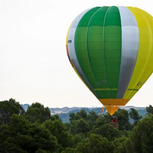 A hot-air balloon raises amongst trees during the 21th European Balloon Festival in Igualada