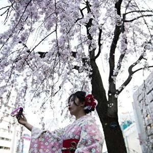 Japan-Lifestyle-Cherry-Blossom
