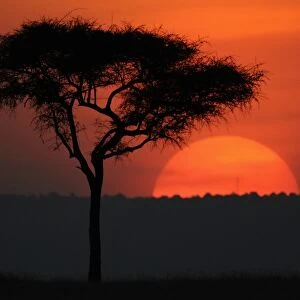 Kenya-Sunset-Nature