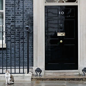 Larry the Cat, 10 Downing Street