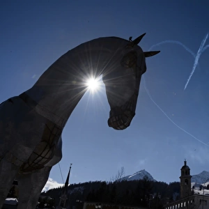 Switzerland-Offbeat-Animal-Horse