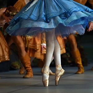 Ballet Collection: St Petersburg Ballet Theatre