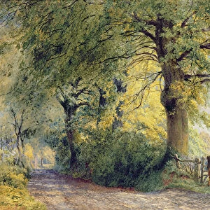 Under the Beeches (oil on canvas)