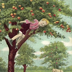 Boy in apple tree, with dog below waiting for him to fall (colour litho)