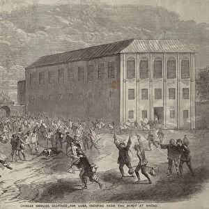 Chinese Coolies, destined for Cuba, escaping from the Depot at Macao (engraving)