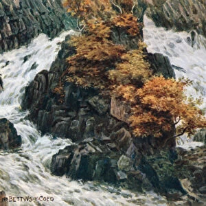 Conway Falls, Nr Bettws-y-Coed (colour litho)