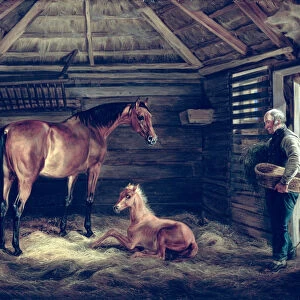 English Mare With Her Foals, 1833 (oil on canvas)