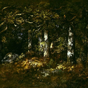 Forest of Fontainebleau, 1868 (oil on canvas)