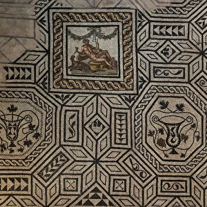 The House of Dionysus, one of the Roman domus of Ortaglia: detail of the mosaic floor representing Dionysus and the panther (mosaic)