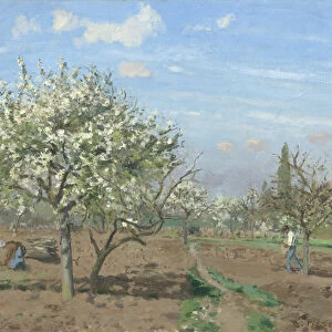 Orchard in Bloom, Louveciennes, 1872 (oil on canvas)