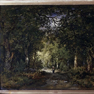 The road under wood Painting by Narcisse Diaz de la Pena (1807-1876) 19th century Sun