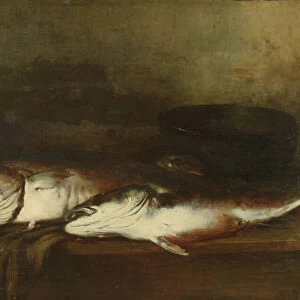 Saltwater Fish (oil on panel)