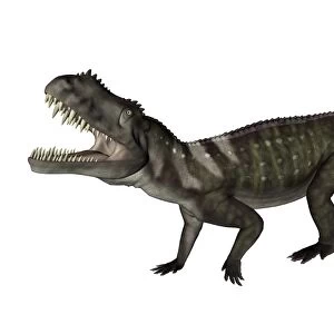 Prestosuchus dinosaur roaring