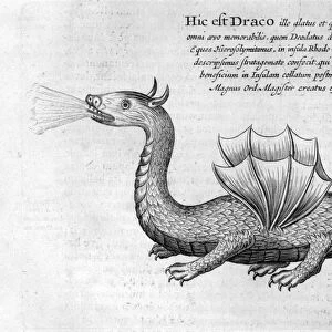 Dragon, 1678. Artist: Athanasius Kircher
