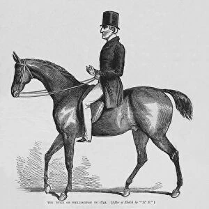 The Duke of Wellington, c1842 (1878)